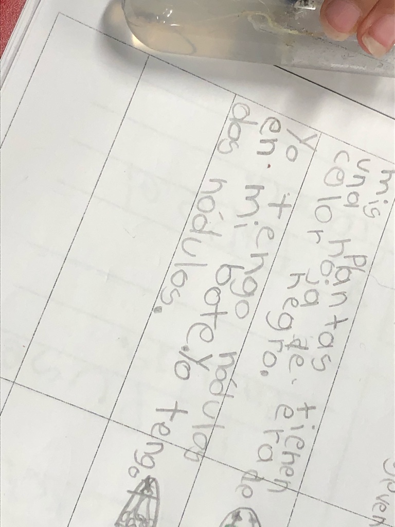 Javier_Montiel1's tweet photo. Bilingual students so excited to see the phenomena of nodulation in their roots of legumes during their #research with plants in space in the #ExoLab8 mission #BISDpride #edtech #STEMeducation #STEMed https://t.co/UBKqer4opR