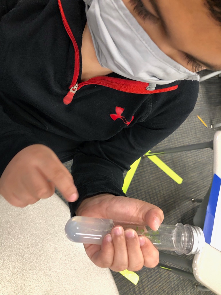 Javier_Montiel1's tweet photo. Bilingual students so excited to see the phenomena of nodulation in their roots of legumes during their #research with plants in space in the #ExoLab8 mission #BISDpride #edtech #STEMeducation #STEMed https://t.co/UBKqer4opR