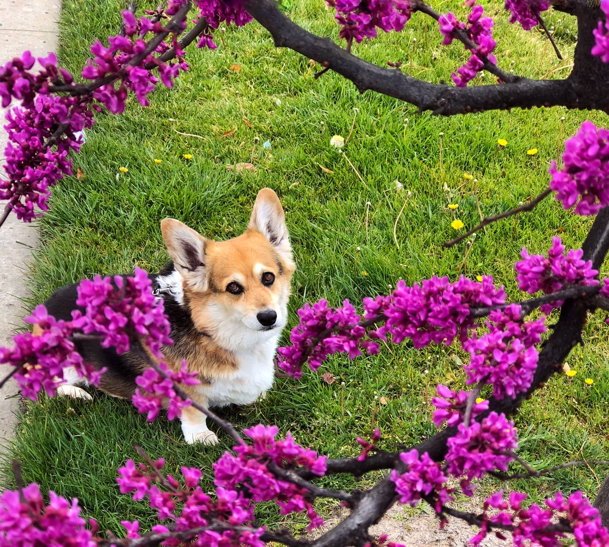 corgi_zero's tweet photo. After Tuesday, even the calendar says W T F
#KeepCalmItsAlreadyWednesday
#SoOverIt #HumpDay https://t.co/tnqhkDtHIw