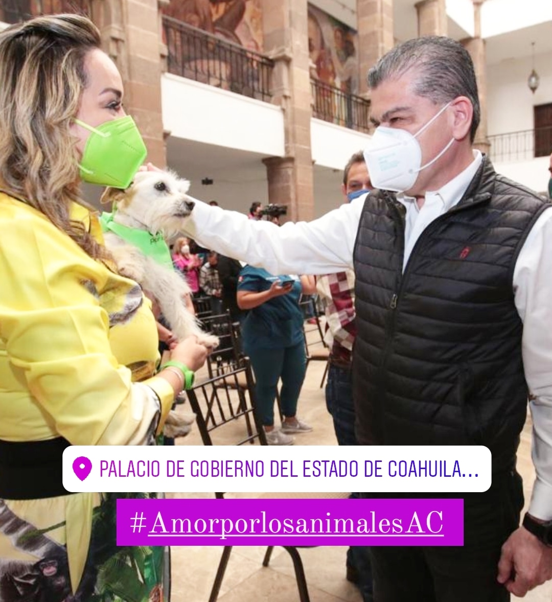 LezaClaudia's tweet photo. Hoy me dió mucho gustó acudir a este evento donde se nos entregó material para realizar esterilizaciones junto a nuestros  veterinarios, gracias gobernador @mrikelme y @manolojim por hacer posible este Programa Estatal de Esterilización para Mascotas por todo #Coahuila. https://t.co/efydDhqn1g