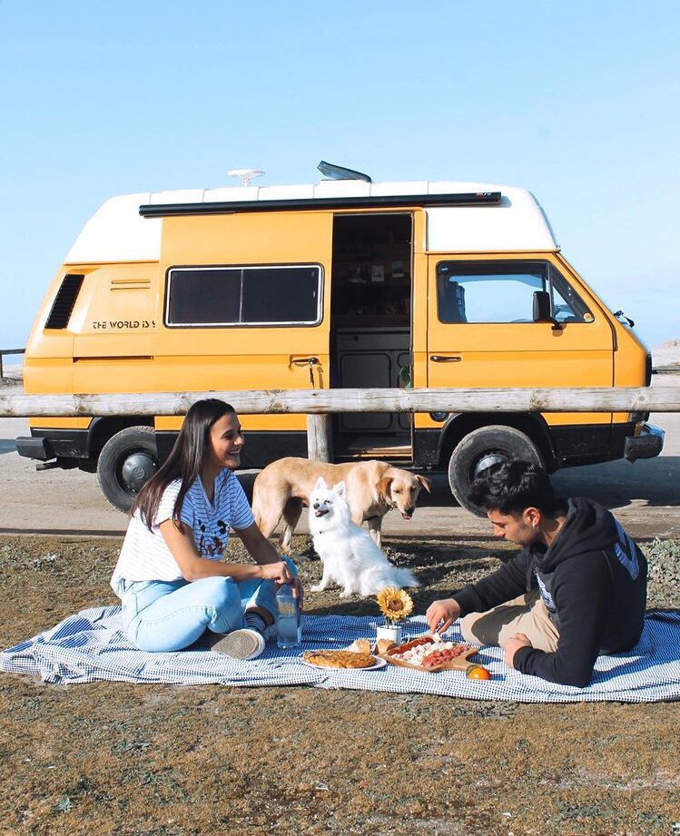 doncasterxnr's tweet photo. Yo también quiero viajar con el amor de mi vida en furgoneta rodeada de animales como Hugo y Lara  #LaIslaDeLasTentaciones12 https://t.co/uFrm51KBFl