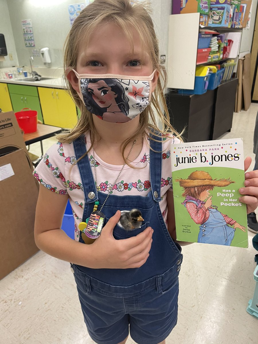 kellyzoucha's tweet photo. Chicks, ducklings, reading, writing, performing plays, monitoring temp/humidity, measuring, life cycles, Science Fun! #celebratelps @CitrusSchools https://t.co/fbzwJLjyxN