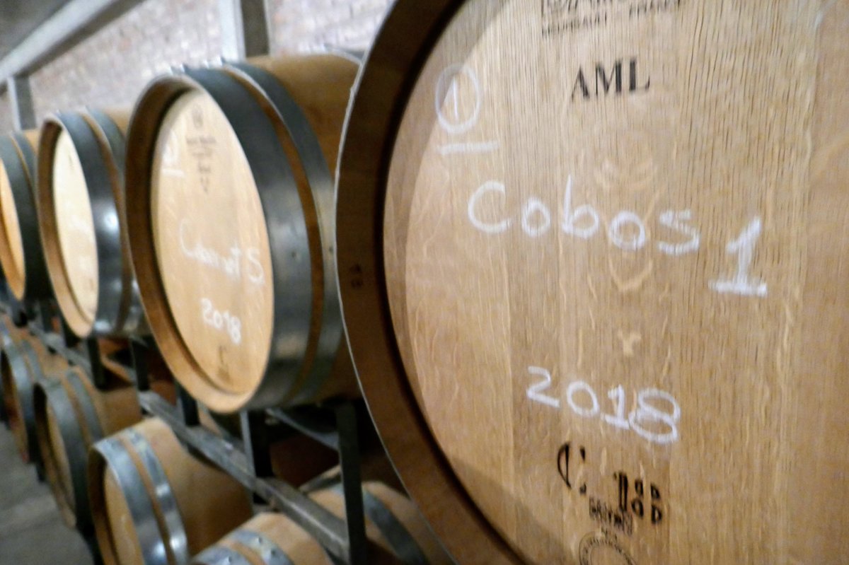 Geographers_Pub's tweet photo. Enjoying the incredible wine of Mendoza, Argentina.  #argentina #mendoza #mendozaargentina #wine #vineyards #winelover #winetasting #winetimes https://t.co/F6N4XOMJrK