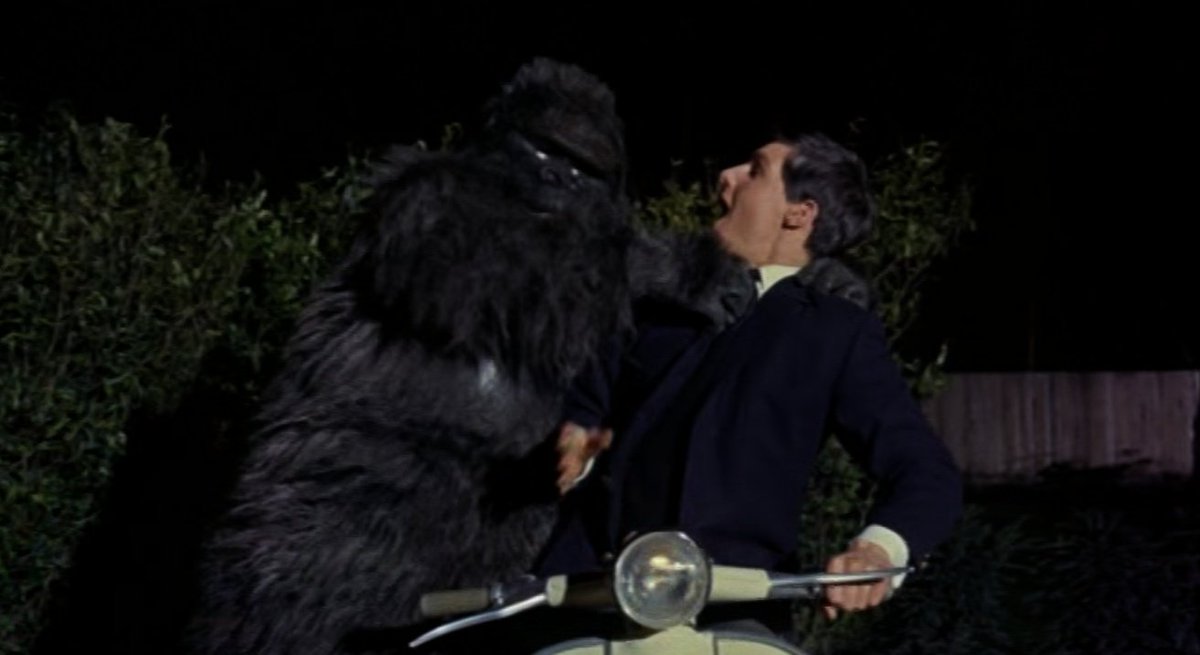 martang66's tweet photo. Poor Bob just wanted to sing about his natty pullover and get off with Sandra...but ended up getting mauled by Konga! https://t.co/uoocuCNKE8