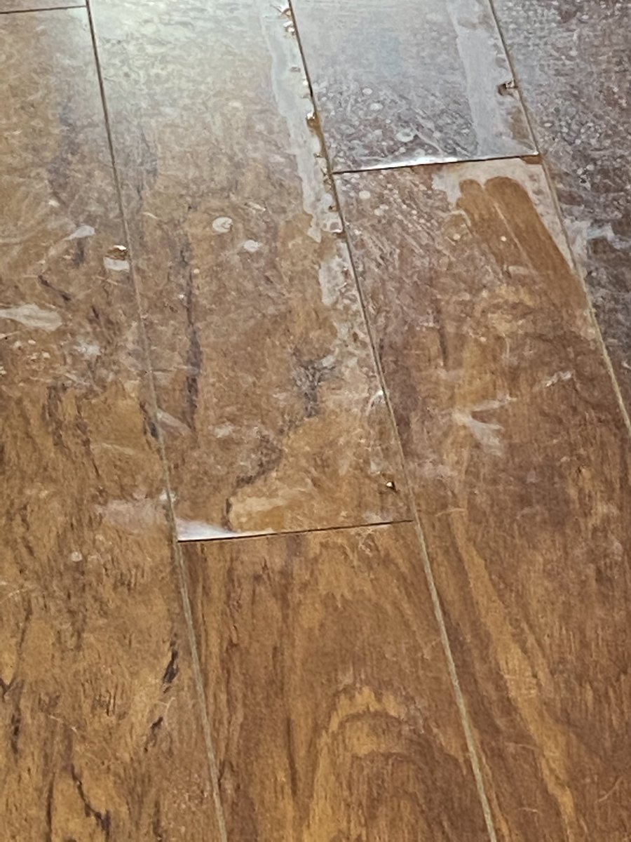 KenFletcher6's tweet photo. @stanleysteemer You guys destroyed my floor when cleaning sofa and still haven’t done anything about it https://t.co/fypVrDdZf0