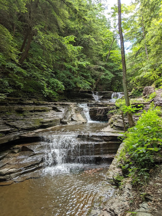 sightDOING's tweet image. The scenery along the trail is stunning, taking you through the gorge itself and into the forest. #VisitIthaca #FLX
Keep reading --&amp;gt;  lttr.ai/c10B
