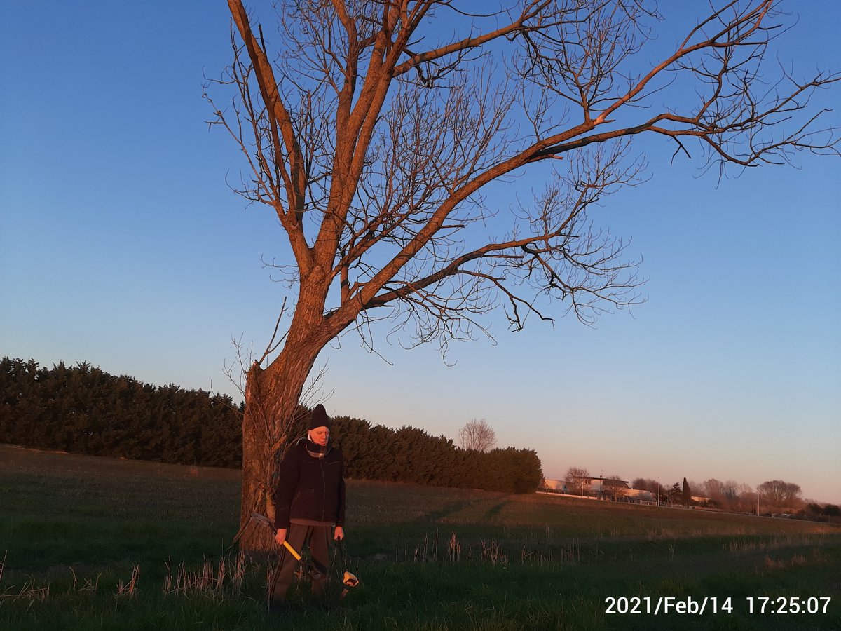 MaurizioMarsic2's tweet photo. Albero mistico! #caorle #veneto #esplorazione #esplorare #verlasseneOrte #edificiabbandonati #verlasseneGebäude
#toexplore
#udforskning
#verlatengebouwen
#verlatenplekken
#verkenning
#ontdekken
#opuštěnámísta
#opuštěnébudovy
#verlatenhuizen
#opuszczonedomy
#prozkoumat https://t.co/M2lm4nChX4