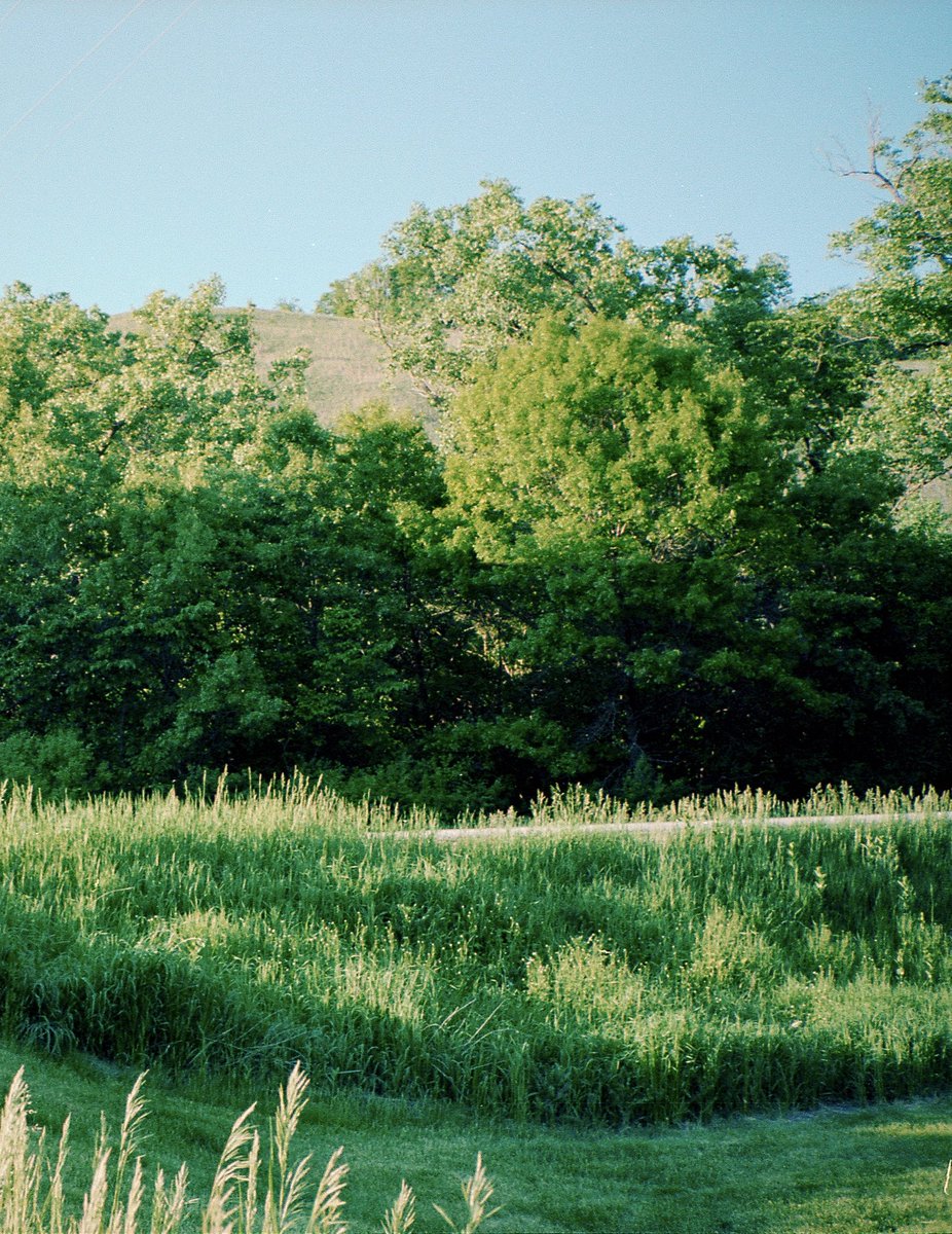 A New Beginning | This Friday at 12pm PST in our Redesigned Online Store | commonculture.co