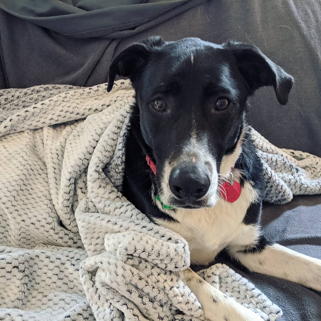 Mike Wilson! tweet media