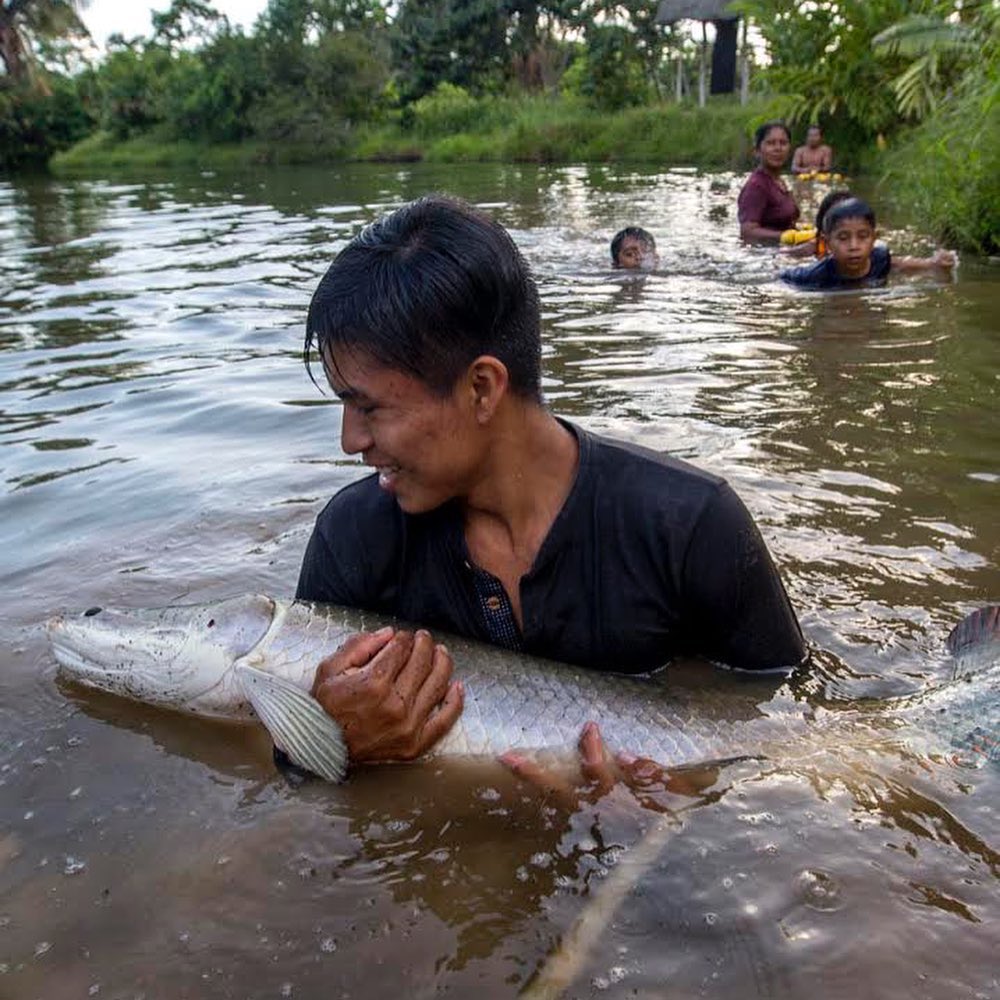 ZENITHTRAVEL1's tweet photo. #AmazonExperiencie 🍠🐟 l In the heart of the Ecuadorian Amazon 🇪🇨 lies an indigenous community with a community-based tourism project.
.
.
.
.
#Amazon #AmazonRainforest #Adventure #Jungle #Experience. https://t.co/2yIDm9J7sB