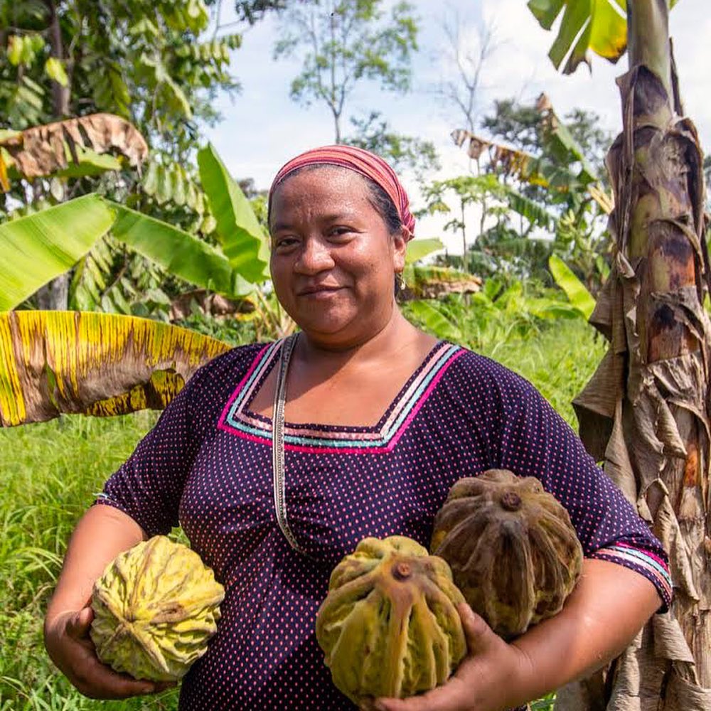 ZENITHTRAVEL1's tweet photo. #AmazonExperiencie 🍠🐟 l In the heart of the Ecuadorian Amazon 🇪🇨 lies an indigenous community with a community-based tourism project.
.
.
.
.
#Amazon #AmazonRainforest #Adventure #Jungle #Experience. https://t.co/2yIDm9J7sB