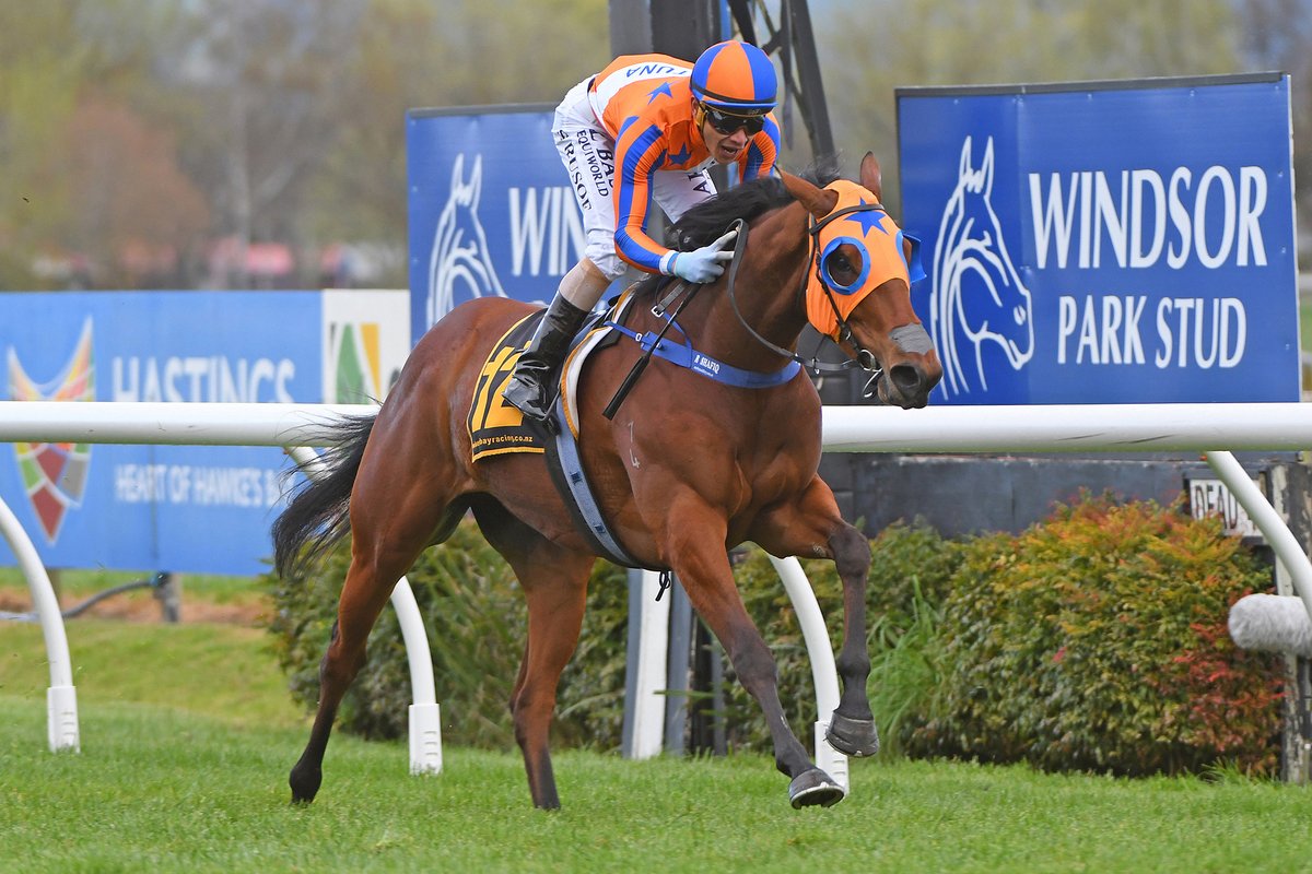 mmsnippets's tweet photo. NEWS: Champion Melody Belle Set to Shine at National
Melody Belle will become the most decorated racemare to be offered at public auction when the 14 time Group One winner goes under the hammer in late May.
Read more here: https://t.co/FPzeEypDkx https://t.co/HWTuIn53bO