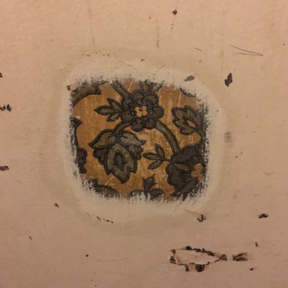 Amy Carney tweet media