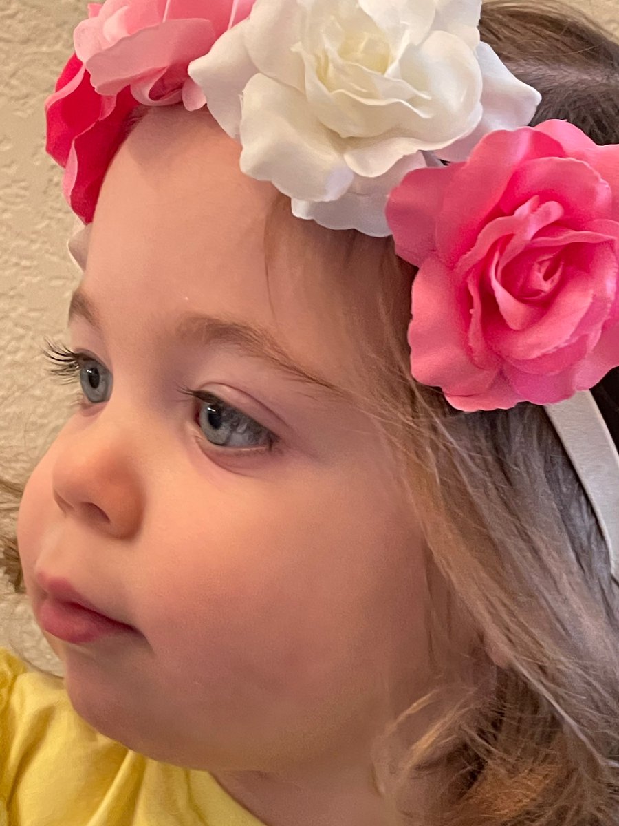 🦋Debbie Rambo🦋 tweet media