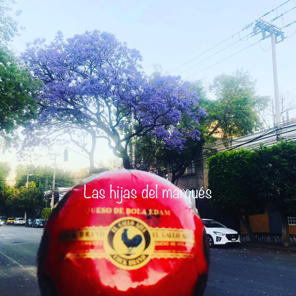 hijasdelmarques's tweet photo. Hay cosas perfectas en esta vida y en esta foto hay 2 de ellas
#jacarandas
#quesoholandes #quesobola
#marquesitas en #cdmx #lasmejores
#foodtrucks #fooddeli
#primavera 😍😍😍 https://t.co/hv1fuMmCIr