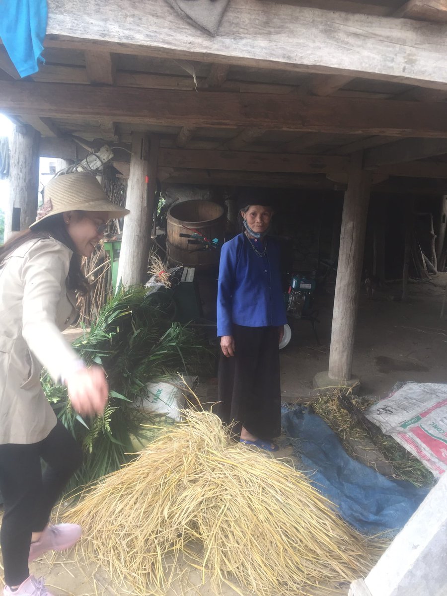 IDS_Massey's tweet photo. Big dilemma for Dev Studies students &amp; staff during a global pandemic: how to do fieldwork?  Never fear - we have PhD student Phuong Thi Nguyen to show the way! 
Phuong can't travel home to Vietnam so recruited 3 Research Assistants from the ethnic minority areas she is studying. https://t.co/WiKWRB7Fwi