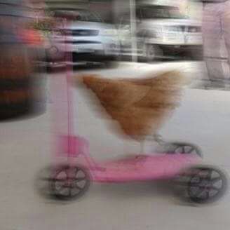 torigiuliani's tweet image. MEU DEUS