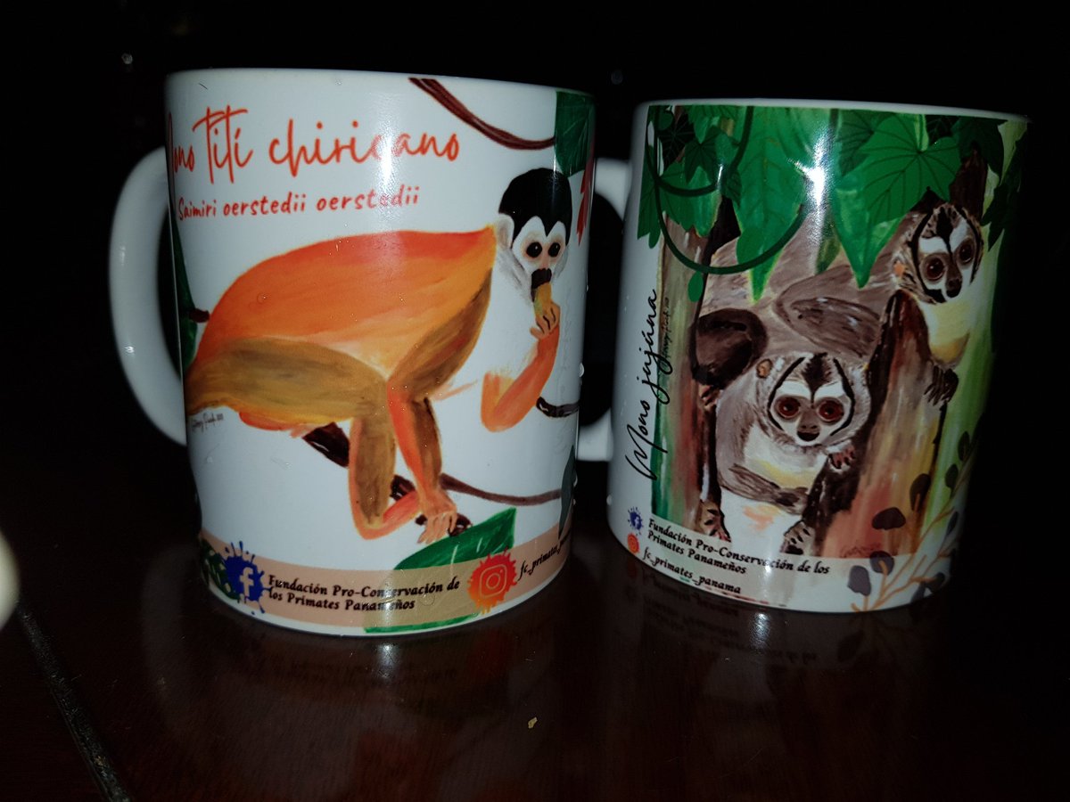 BioBurunga's tweet photo. Dos más a la coleccion de tazas de monos de Panamá #BioBurunga. Así apoyamos la labor de la Fundación Pro-Conservación de los Primates Panameños (FCPP), @fc_primates_panama https://t.co/iscnLWFM0q