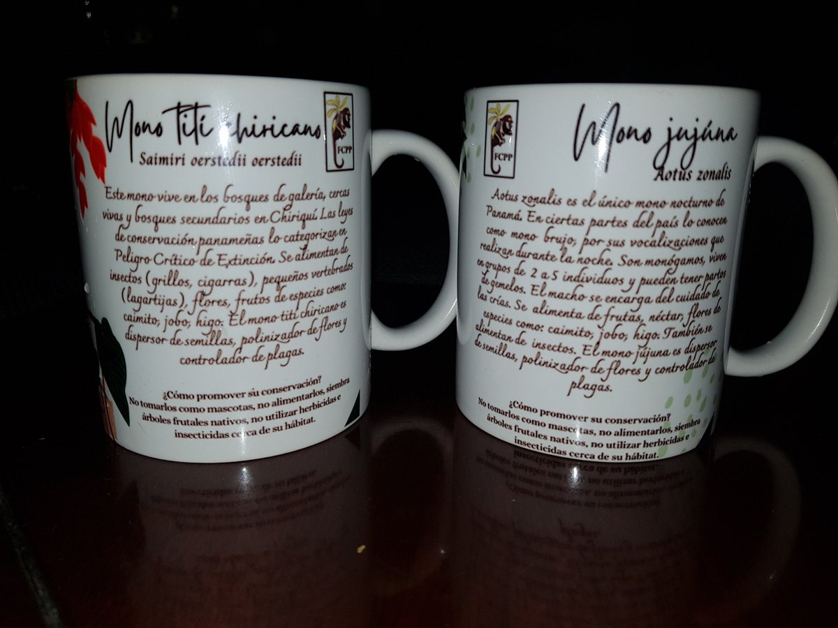 BioBurunga's tweet photo. Dos más a la coleccion de tazas de monos de Panamá #BioBurunga. Así apoyamos la labor de la Fundación Pro-Conservación de los Primates Panameños (FCPP), @fc_primates_panama https://t.co/iscnLWFM0q