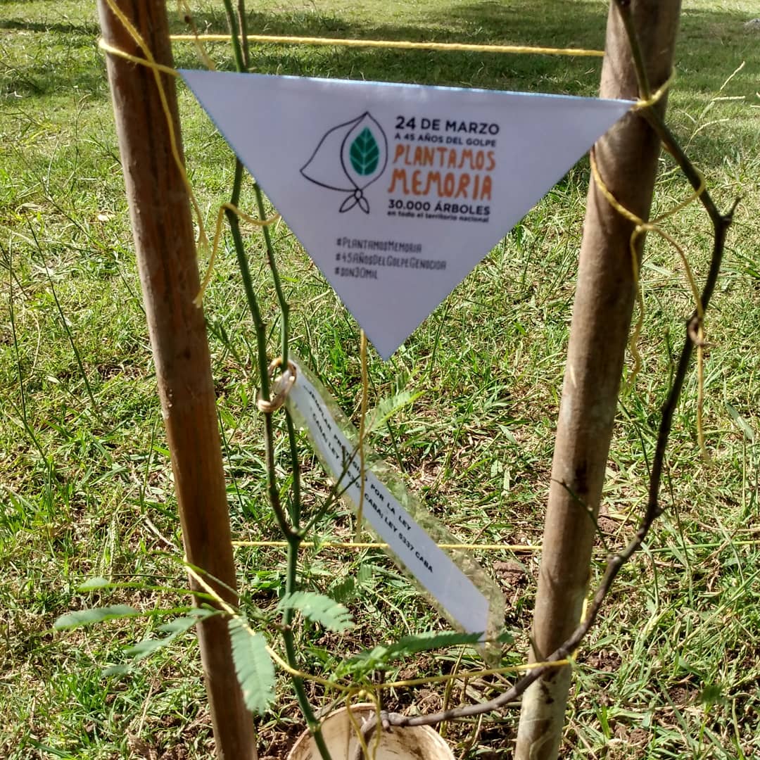 juanp_fuhrmann's tweet photo. Hoy #PlantamosMemoria enfrente de la facultad de Veterinaria de la UBA https://t.co/FYHBwLedXb