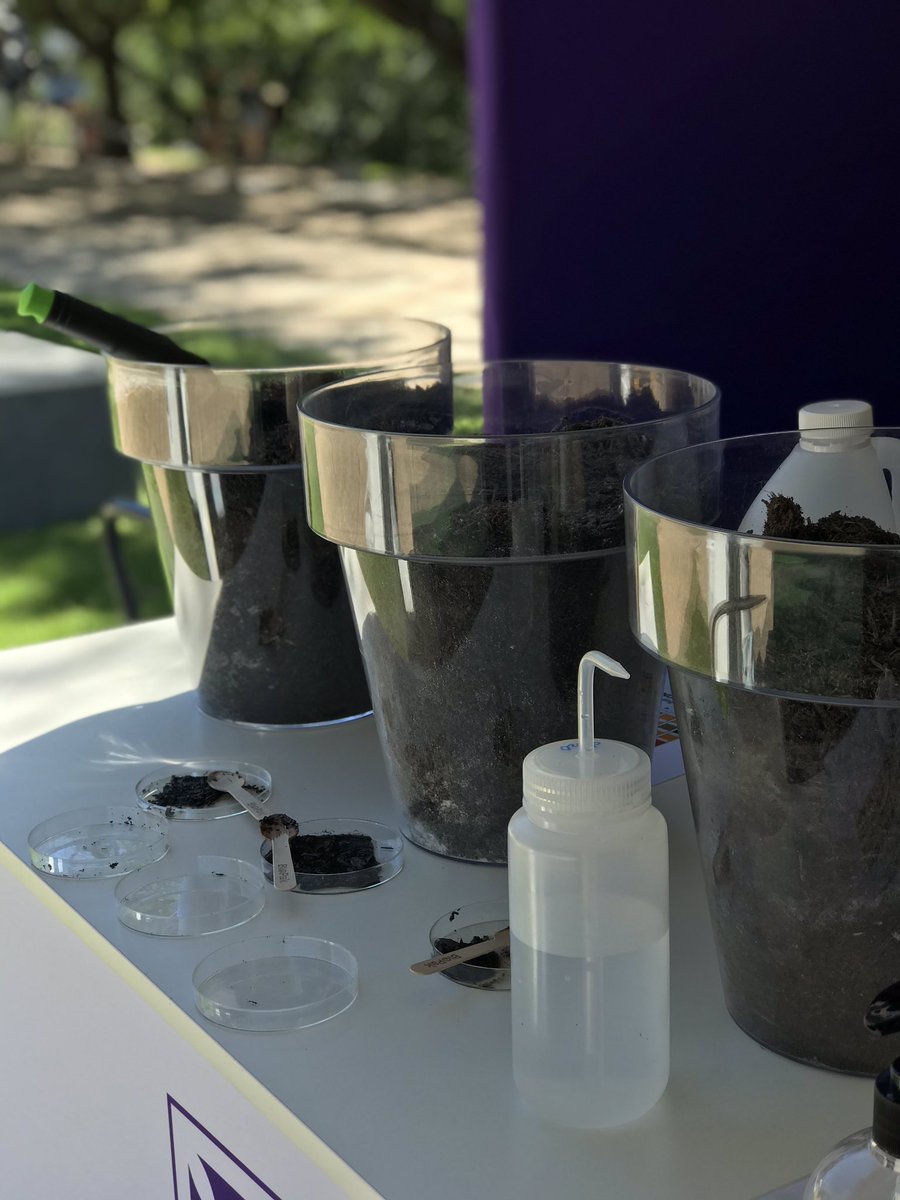 starobova's tweet photo. Join us at the Brisbane Science Festival at Southbank and find out more about our #soilsforscience program @IMBatUQ @UQ_News @SensoryNeuroph1 #worldsciencefestival we are right next to the bin chicken https://t.co/G1GTrnXUN6