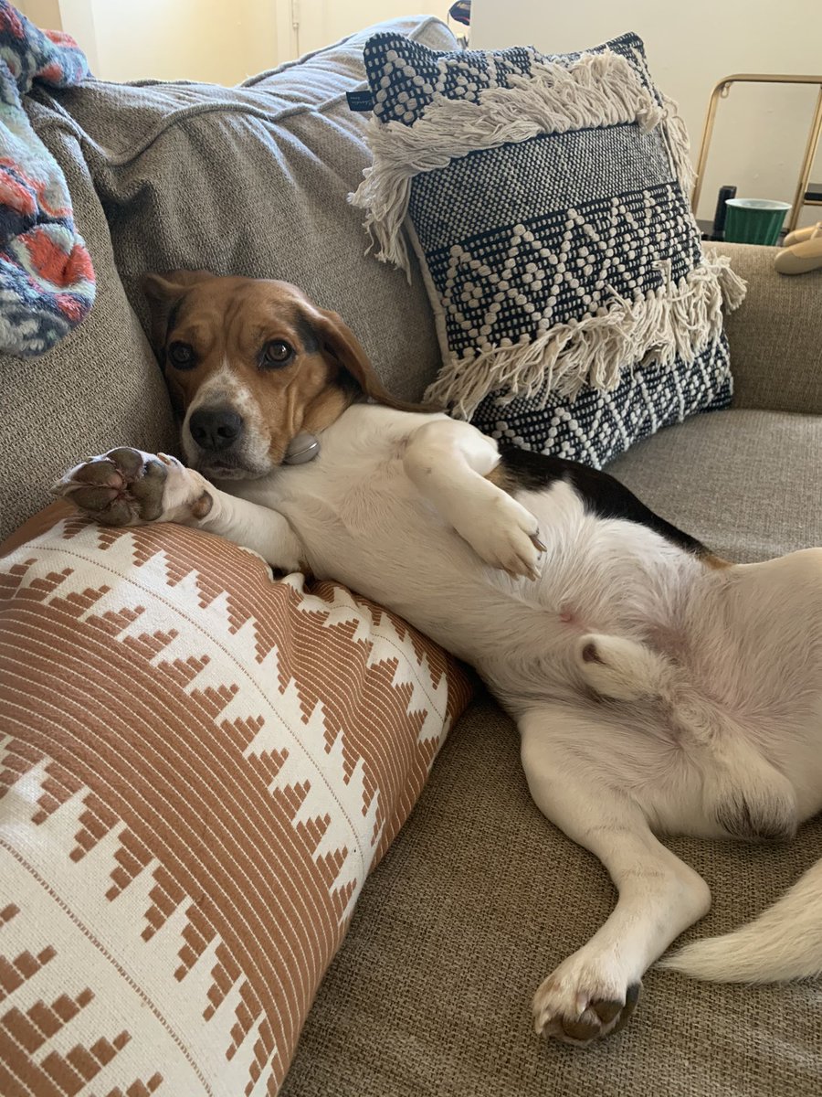 MEGG_morris's tweet photo. make eli a meme https://t.co/f8Az7mlCCA