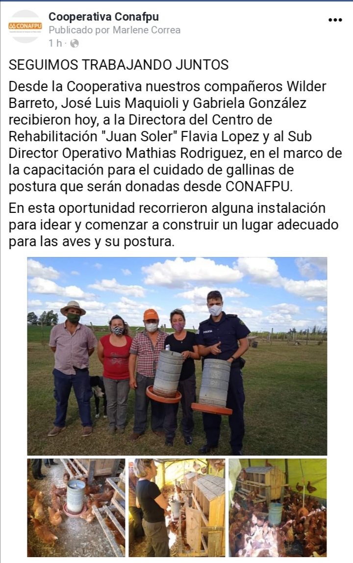 danielpereyra73's tweet photo. Cooperando #Conafpu
https://t.co/bisPguOQHk https://t.co/oZPj33Jcsr