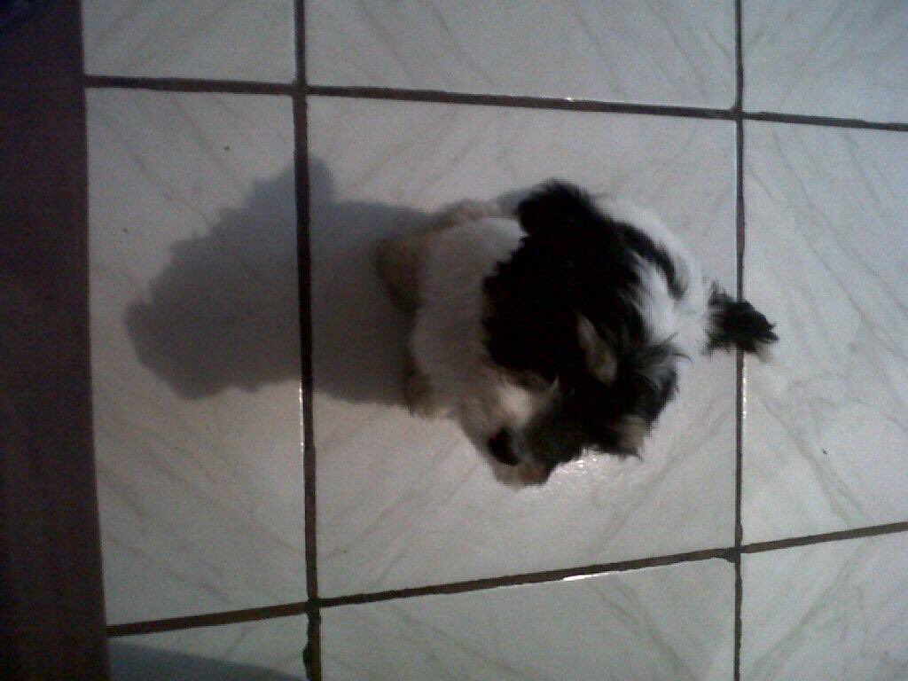 Castro14Fa's tweet photo. Los amo con todo mi ser mis cositas bebés https://t.co/ndzLsAP33T