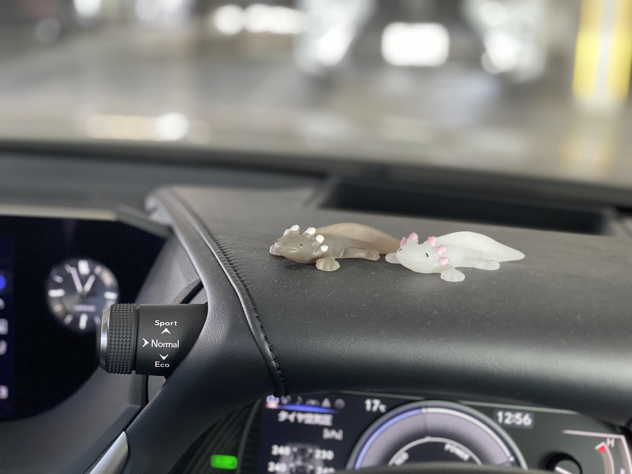 たにやん ニンジャZX-25Rにターボチャージャー装着で217.85km/hをマーク