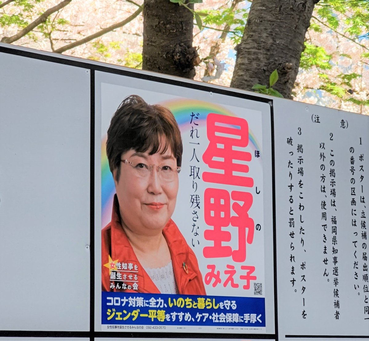 知事 選挙 県 福岡