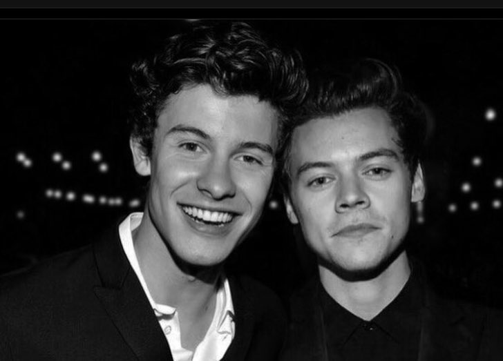 🦕 hey sharries!! sorry this account hasn’t been as active as it should be- most of the admin are ia and i’ve been really busy with school :) hope you’re doing well and remember shawn and harry love you <3