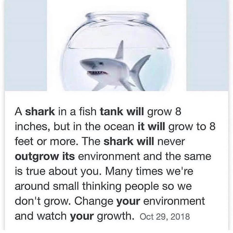 WholesomeMemes (@wholesomememe) on Twitter photo 