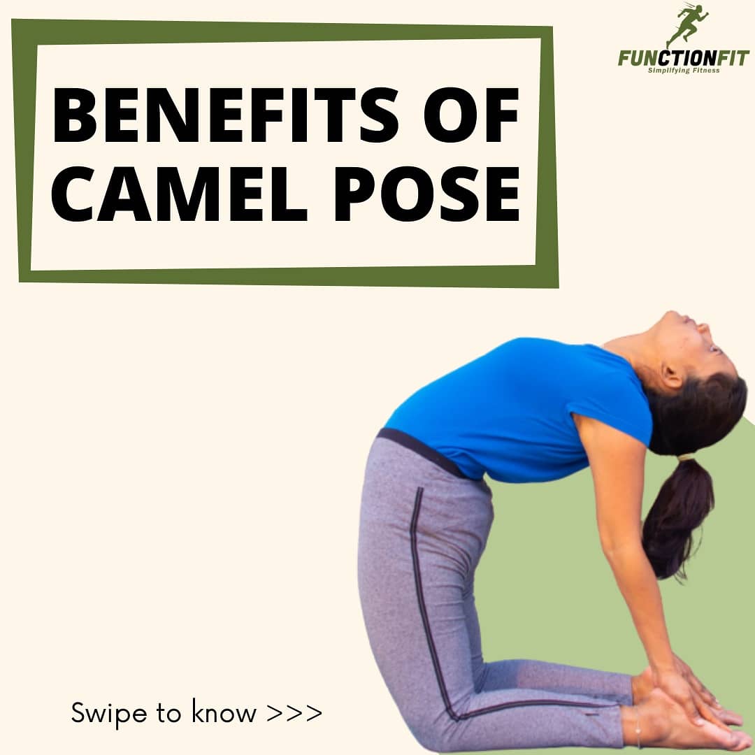 functionfitsys's tweet photo. Camel pose or Urstrasana can work subtly, but brilliantly, to improve conditions of the digestive, respiratory, endocrine, lymphatic, skeletal, n circulatory systems.
 This posture is for conditions like asthma, bronchitis, diabetes, thyroid and parathyroid disorders, spondylitis https://t.co/hGshwYHkzW