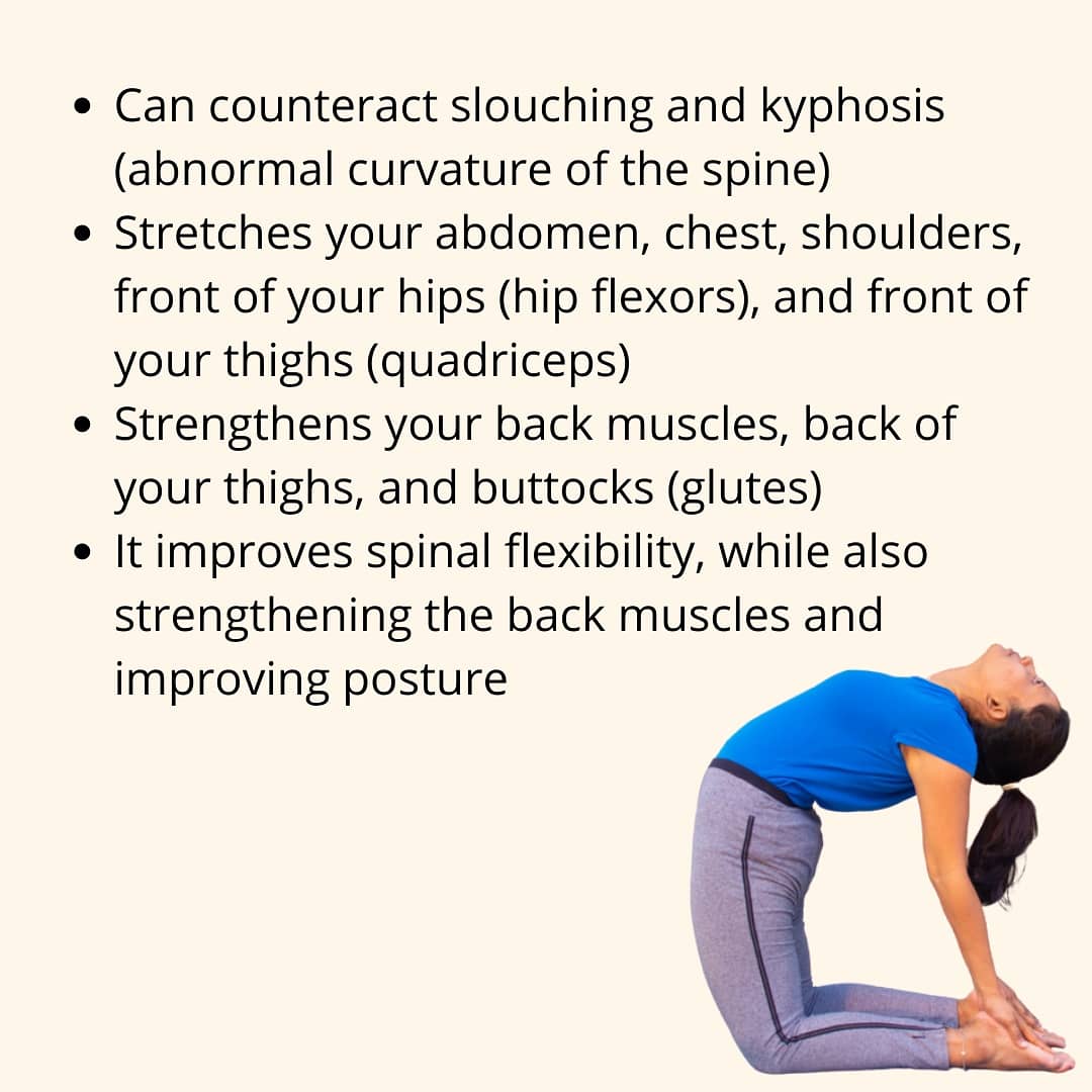 functionfitsys's tweet photo. Camel pose or Urstrasana can work subtly, but brilliantly, to improve conditions of the digestive, respiratory, endocrine, lymphatic, skeletal, n circulatory systems.
 This posture is for conditions like asthma, bronchitis, diabetes, thyroid and parathyroid disorders, spondylitis https://t.co/hGshwYHkzW