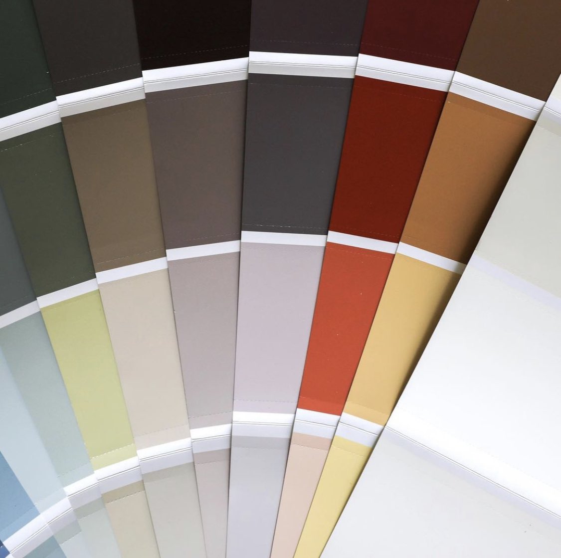 DigbyPaints's tweet photo. Struggling with #decisionfatigue? Our oversized #colourcards will help you select the perfect hue for your space plus, they’re only #onedollar https://t.co/A3BiixATVq