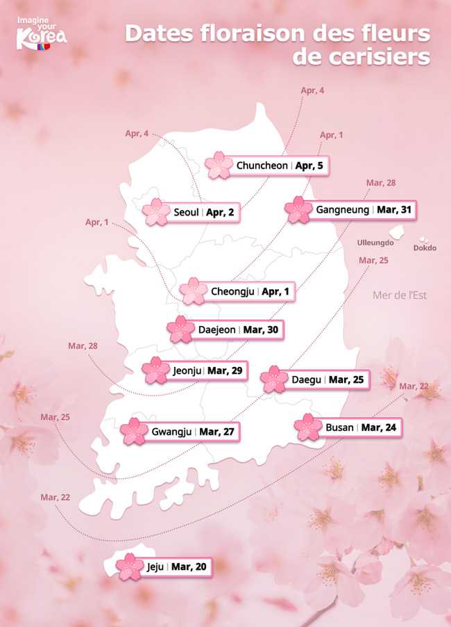 visitkoreaFR's tweet photo. En #Corée, la floraison des fleurs du #printemps devrait arriver avec quelques jours d'avance cette année 🌸🌺🌼 Cliquez ici pour consulter les dates de floraison des fleurs  de #forsythias, d'#azalées et de #cerisiers ! 😊 👉  https://t.co/mU88Qc7Dl1 https://t.co/gKBxW6yf7p