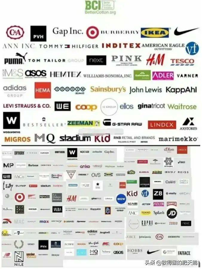 adidas china address android