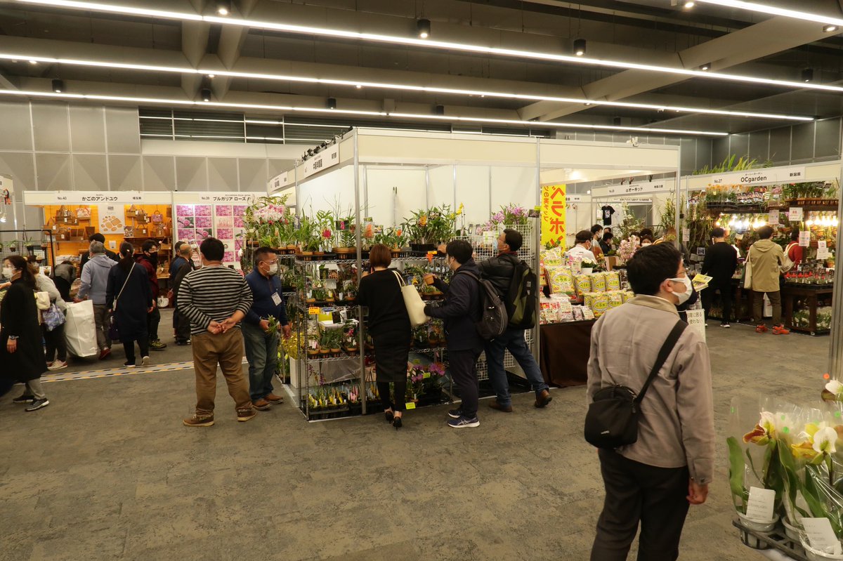 tokyo_orchids's tweet photo. 世界らん展開催中です！ https://t.co/y2lZoZBjIp