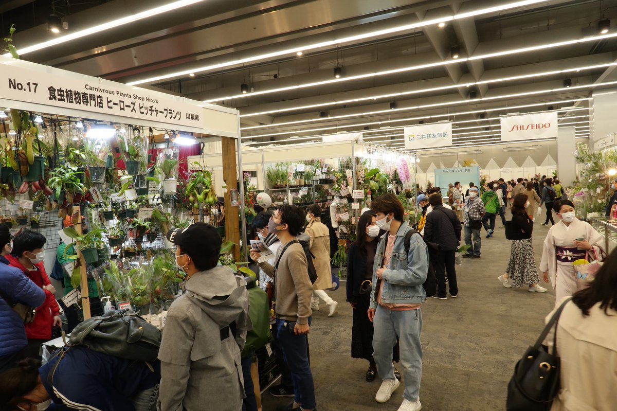 tokyo_orchids's tweet photo. 世界らん展開催中です！ https://t.co/y2lZoZBjIp