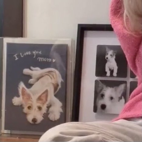 joohwangie's tweet photo. awwww 🐶🥺 #ROSÉ #로제 https://t.co/gJ7N1Frjsr