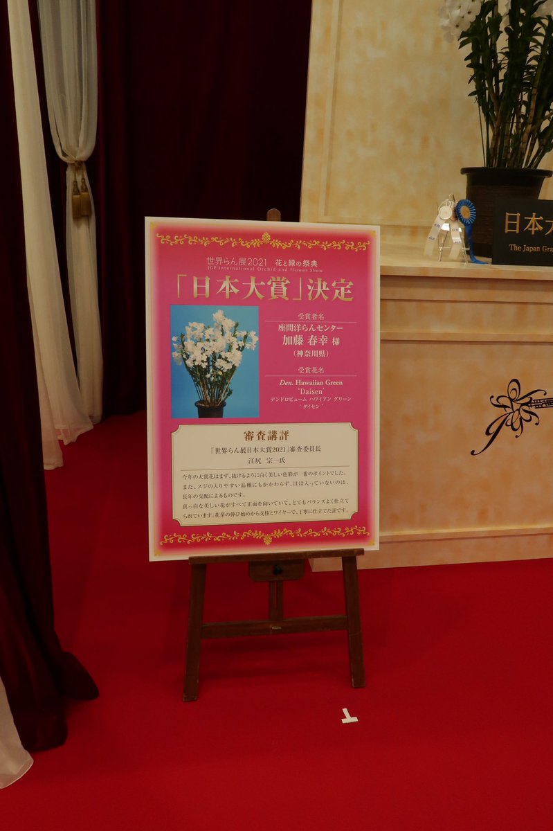 tokyo_orchids's tweet photo. 日本大賞はデンドロです！ https://t.co/hiOxS6zU2p