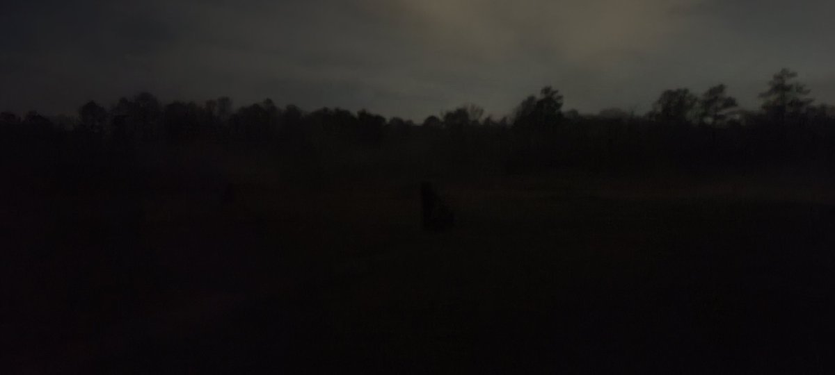 ChrisCChoi's tweet photo. 🪓 CO on the same timeline as 🐻 CO also execute Buddy Team Live Fire Exercises getting closer to #TurningGreen &amp; becoming @USArmy Soldiers! Even with a waxing gibbous moon it's hard to see them, but they see u! @AxeCompanyOSUT @RockForce7 @198thOSUT @Dave_Hodne @DerrickGarner20 https://t.co/o2v2PKho6m
