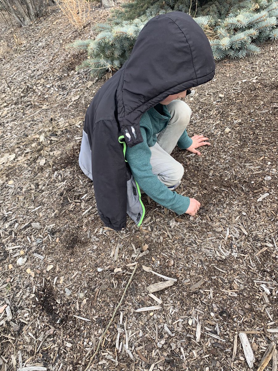 brainswithbain's tweet photo. It’s finally spring! I am definitely loving this wonderful weather and so are the kids! We were excited to get outside today and practice some of our letters 💗 #csd71 #clearview #ses #abed https://t.co/mtmhdKEqrq