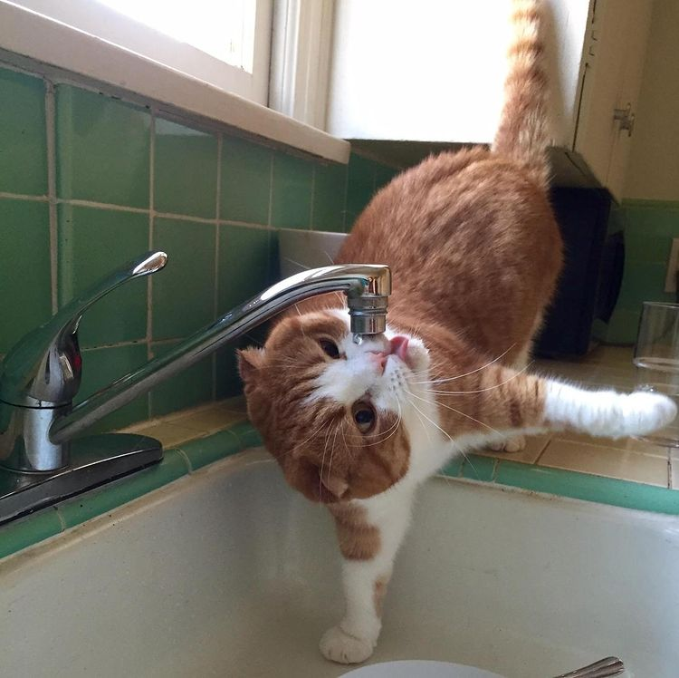 ARTIFAXING (@pedestrian) on Twitter photo 