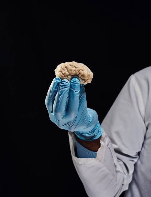 <a href="/eko_kuntadhi/">eko</a>