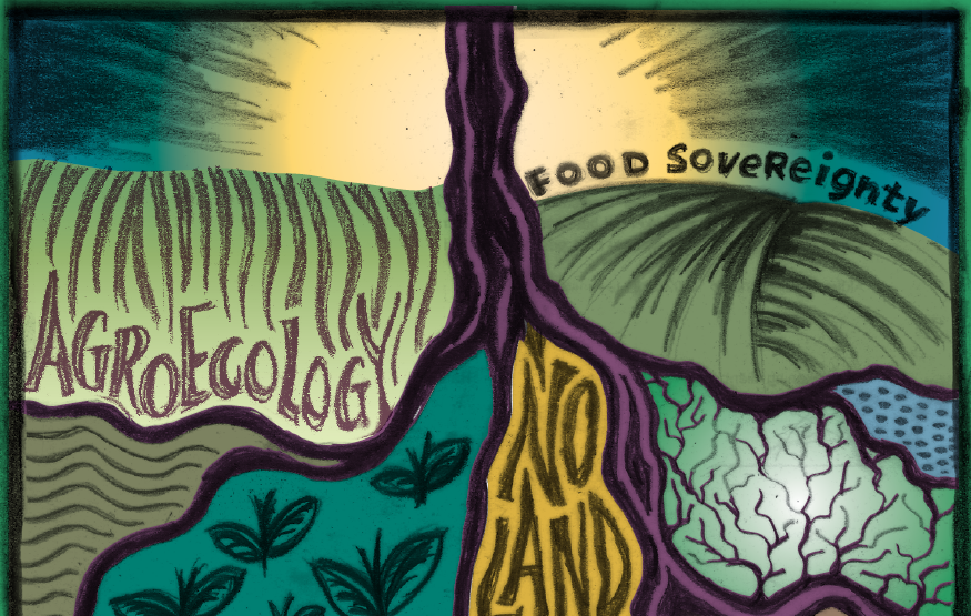 buildresilience's tweet photo. Roots of Resilience: How CAP, Farm to Fork, and Land Policies can Support an Agroecological Transition in Europe https://t.co/6JumDMvuz1 https://t.co/W9Y8XmiWrc