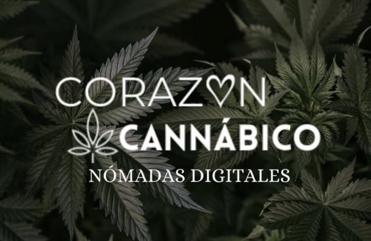 Nomadismo digital. 

Ganancia en dólares. 

Tiempo libre 

Riesgo nulo. 

Inversión ridículamente baja. 

HEMPrendedor.