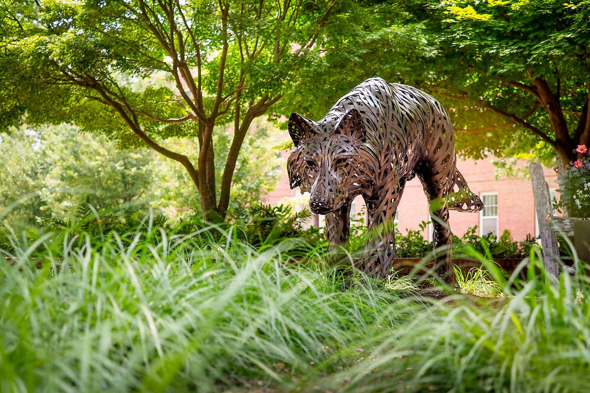 crabchips's tweet photo. @NCState #GivingPack @ncsugradschool https://t.co/WTEh885nY0