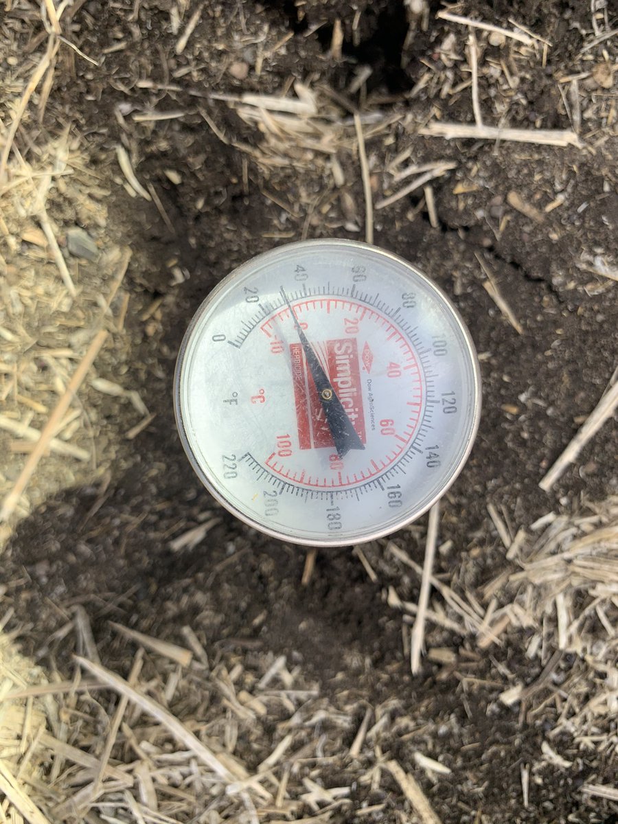ChrisPile82's tweet photo. #Plant21 couple more weeks! @PaulEdHofer @captainsirwalt @BrickJason https://t.co/HGz5leMFhR