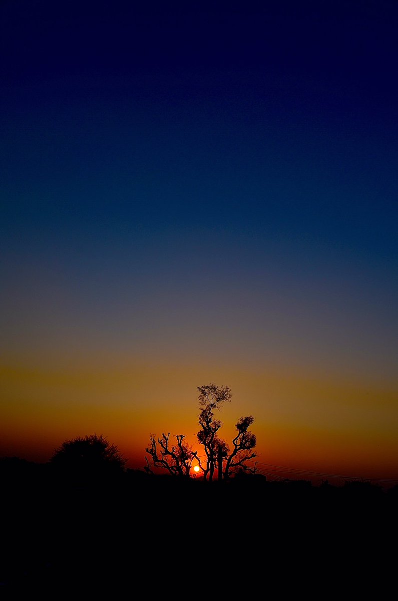 Harshbhagal's tweet photo. Shades of yesterday .
#SunsetSky
#viewfromearth
#Rajasthan
#sunsetphotography https://t.co/4Un6pYotkq